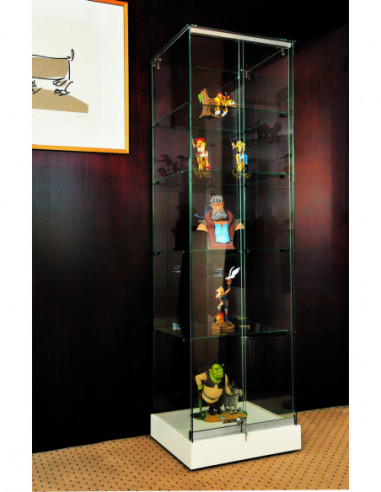 Vitrines en verre pour collection, exposition (plusieurs dimensions)